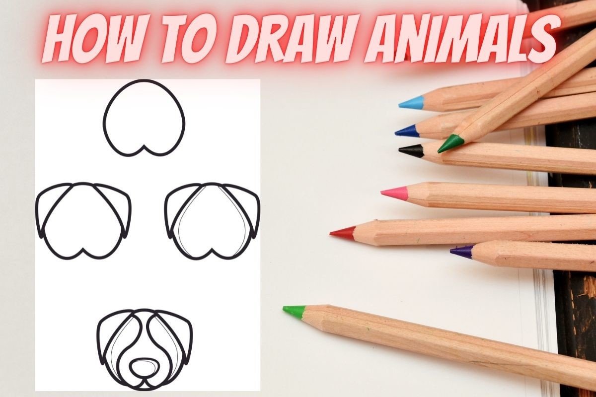 How to Draw Animals Step by Step Dog