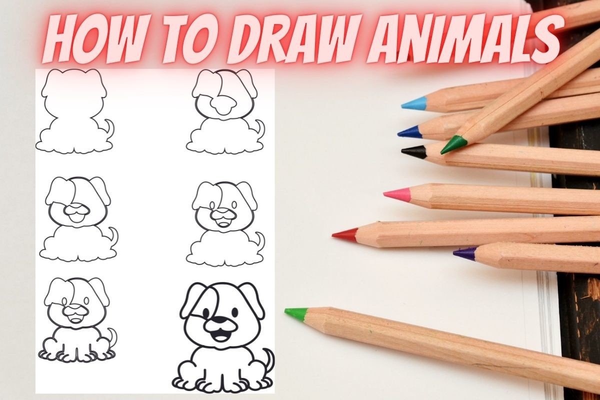 How to Draw Animals Step by Step Dog Sit