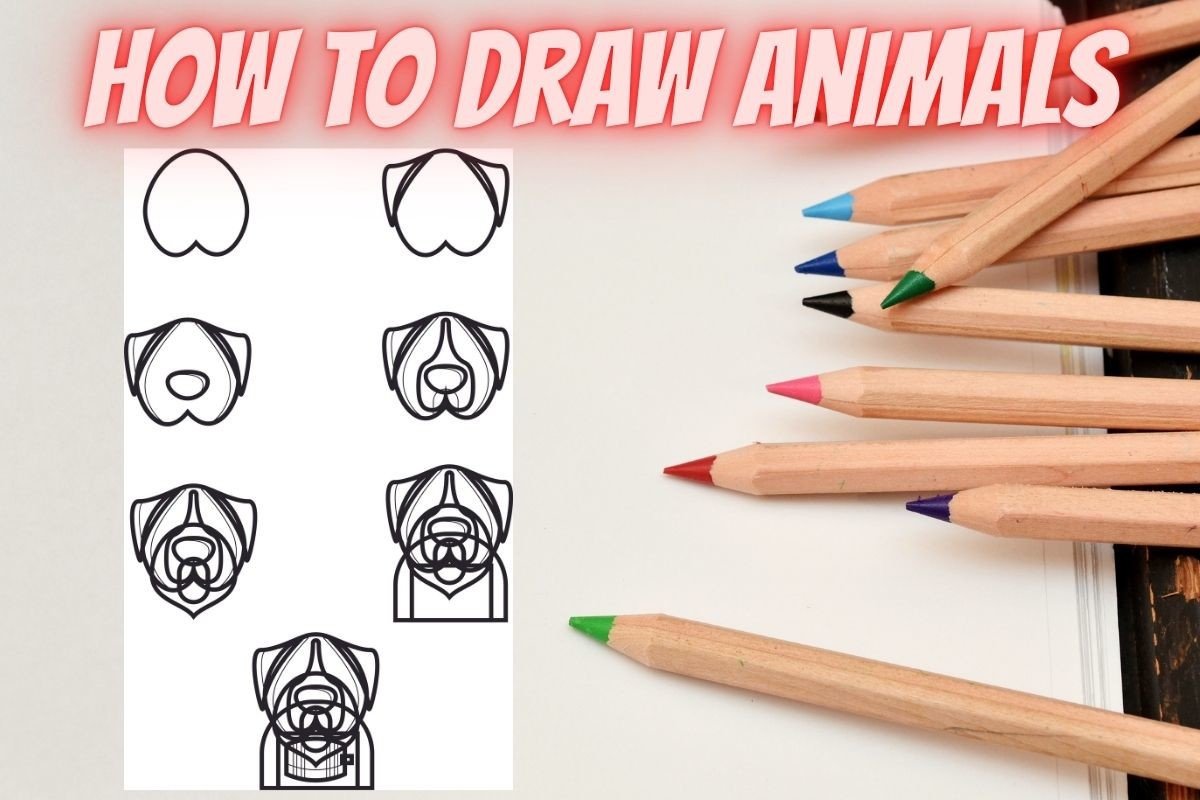How to Draw Animals Step by Step DogFace
