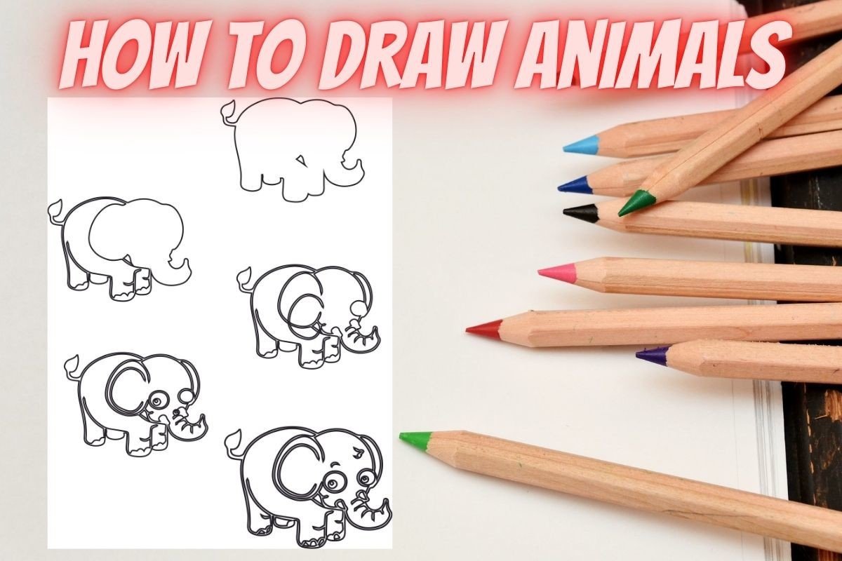 How to Draw Animals Step by Step Elephant
