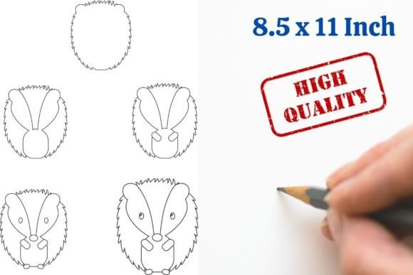 How to Draw Animals Step by Step Hedgeho