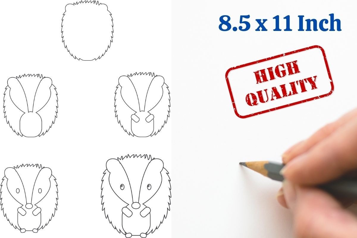 How to Draw Animals Step by Step Hedgeho