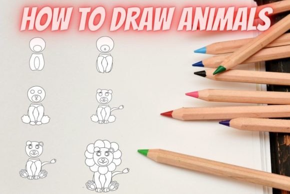 How to Draw Animals Step by Step Lion