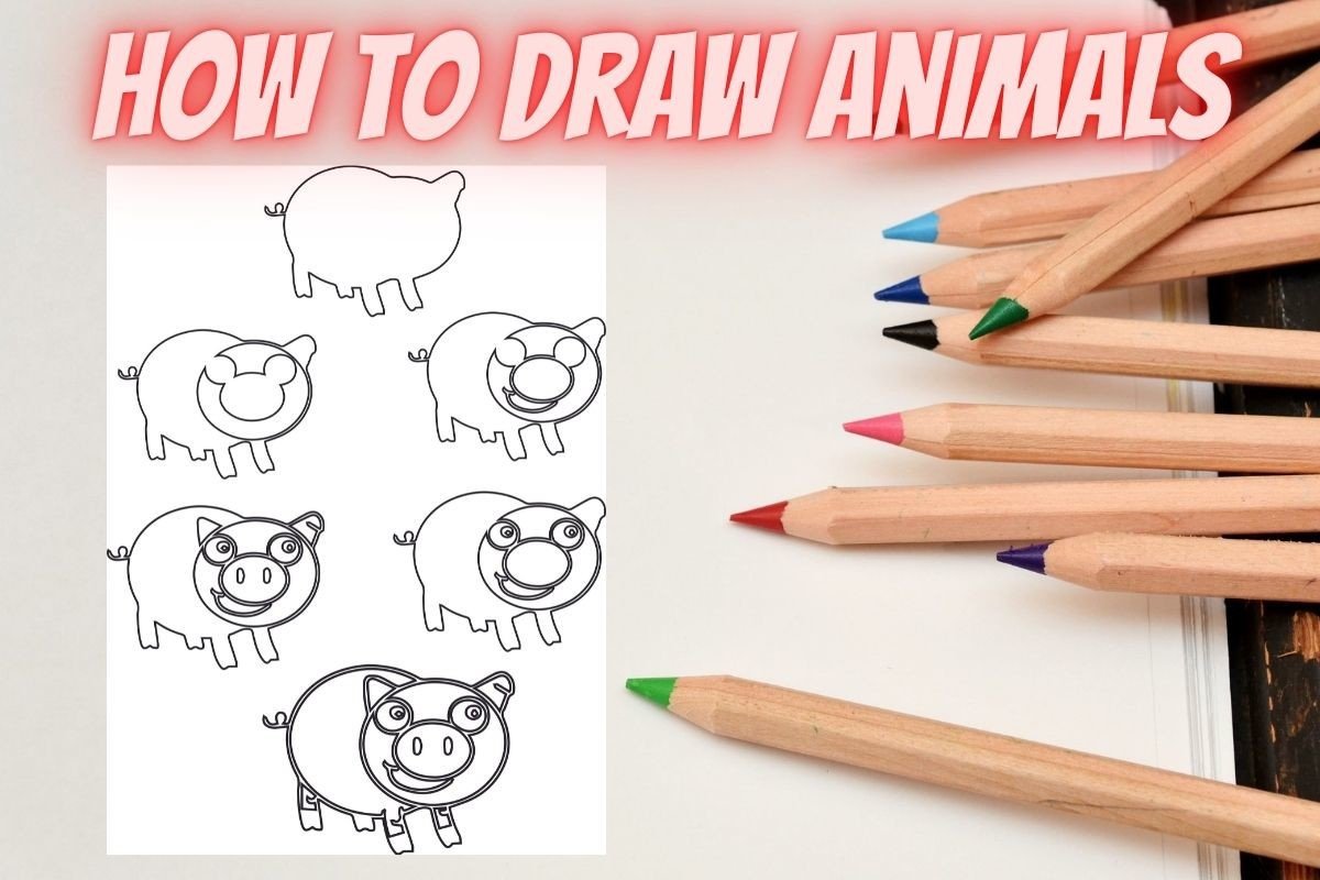 How to Draw Animals Step by Step Pig