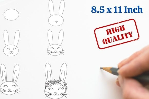 How to Draw Animals Step by Step Rabbit