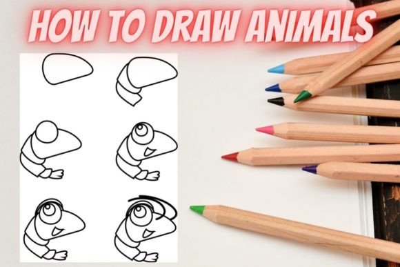 How to Draw Animals Step by Step SHRIMP