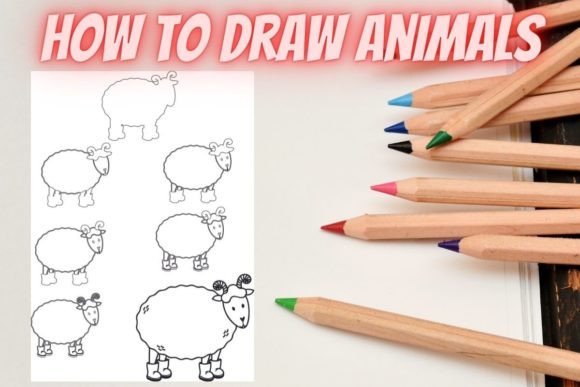 How to Draw Animals Step by Step Sheep