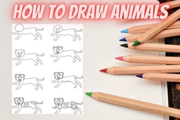 How to Draw Animals Step by Step Tiger