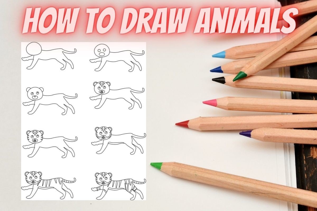 How to Draw Animals Step by Step Tiger