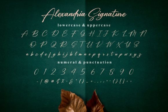 Alexandria Signature Font - Preview 6