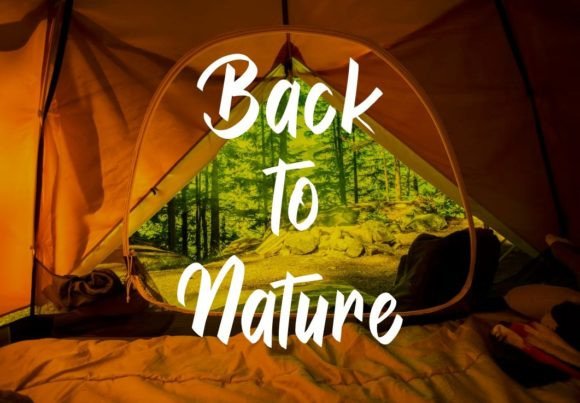 Branding Font - Preview 1