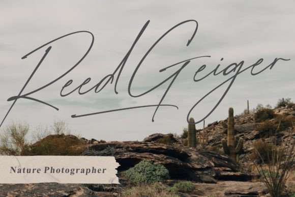 Grasted Rosta Font - Preview 4