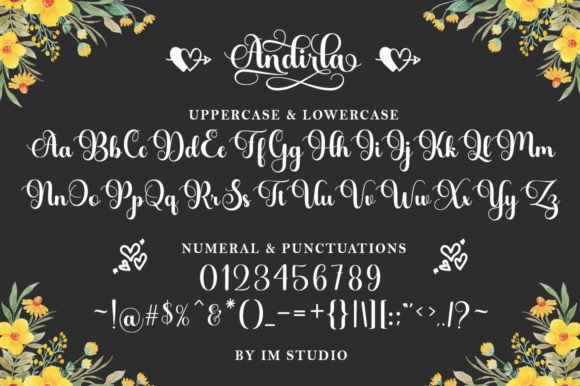 Andirla Font - Preview 5