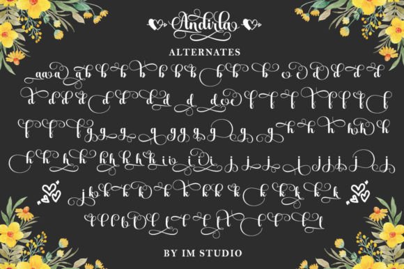 Andirla Font - Preview 6