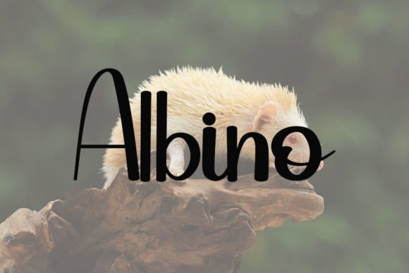 Hedgehog Font - Preview 1