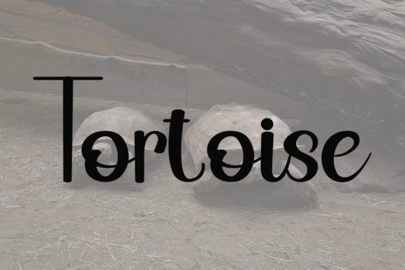 Hedgehog Font - Preview 3