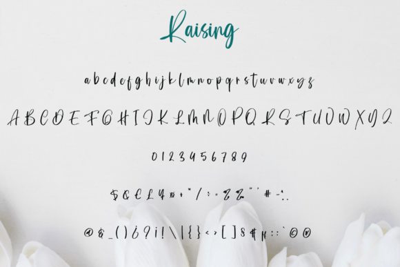 Raising Font PNG with transparent background - Preview 2