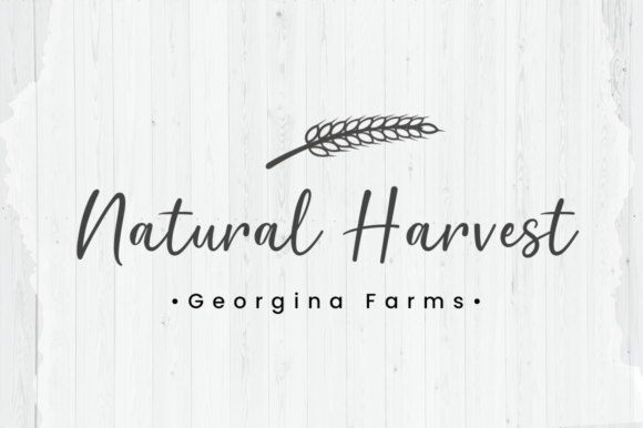 Bountiful Harvest Font - Preview 5