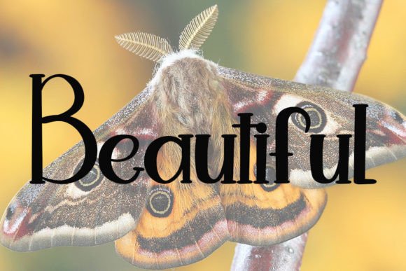 Butterfly Font - Preview 1