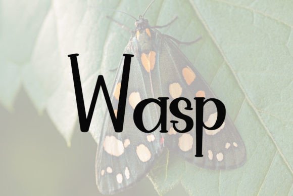 Butterfly Font - Preview 2