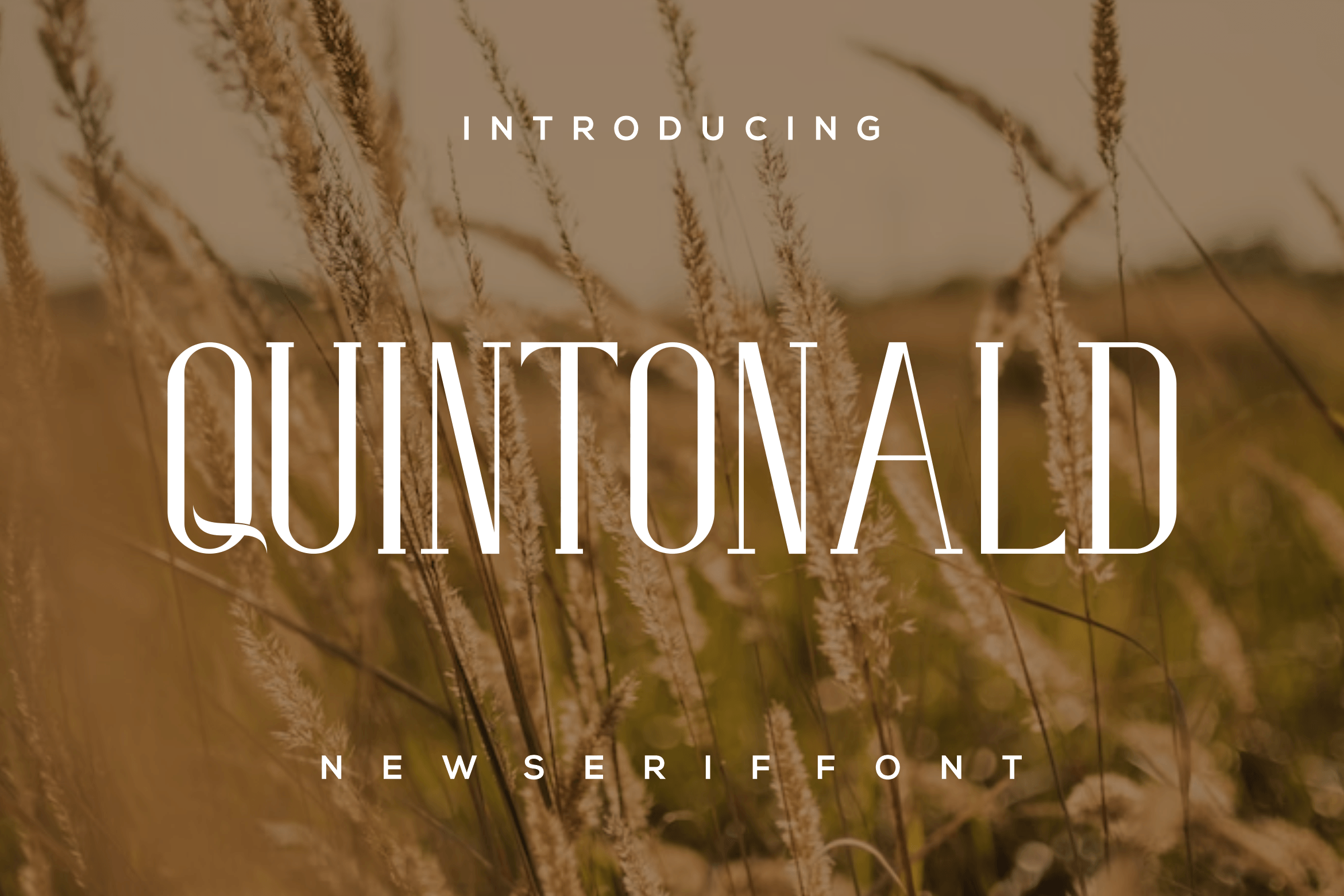 Quintonald Font by yohanes mulat argo · Creative Fabrica