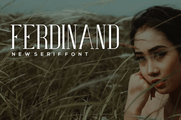 Quintonald Font PNG with transparent background - Preview 1