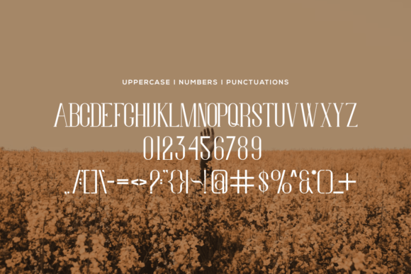 Quintonald Font PNG with transparent background - Preview 2