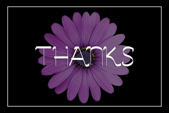 Qypograf Font PNG with transparent background - Preview 4