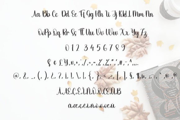 Autumn Font - Preview 3