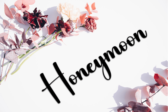 Ballerina Font - Preview 2