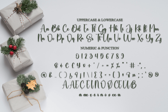 Ballerina Font - Preview 6