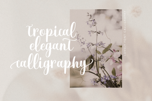 Milksty Font PNG with transparent background - Preview 3