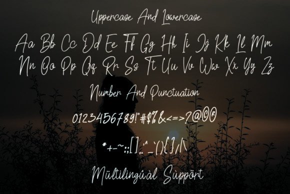 Bologna Font - Preview 3