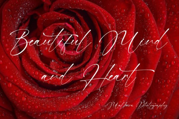 Abelia Malkova Font - Preview 1