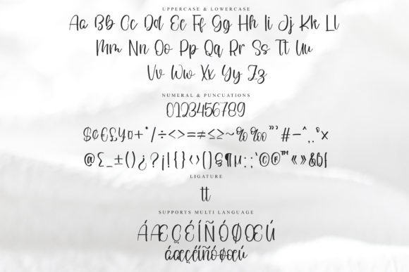 Griswold Font - Preview 5