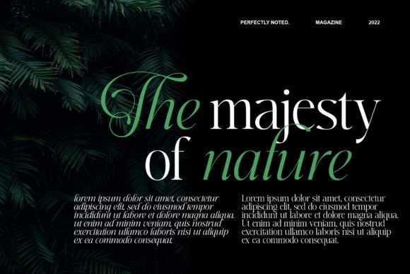 Perfectly Noted Font PNG with transparent background - Preview 5