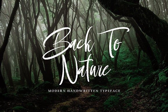 Shignatture Font PNG with transparent background - Preview 6