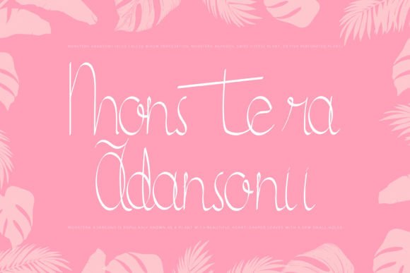 Lachicha Font PNG with transparent background - Preview 1