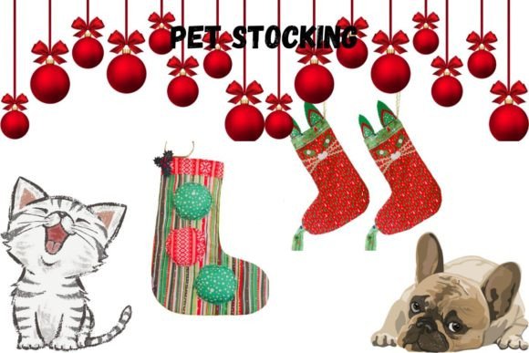Make Your Own Pet Stockings, Set of 2