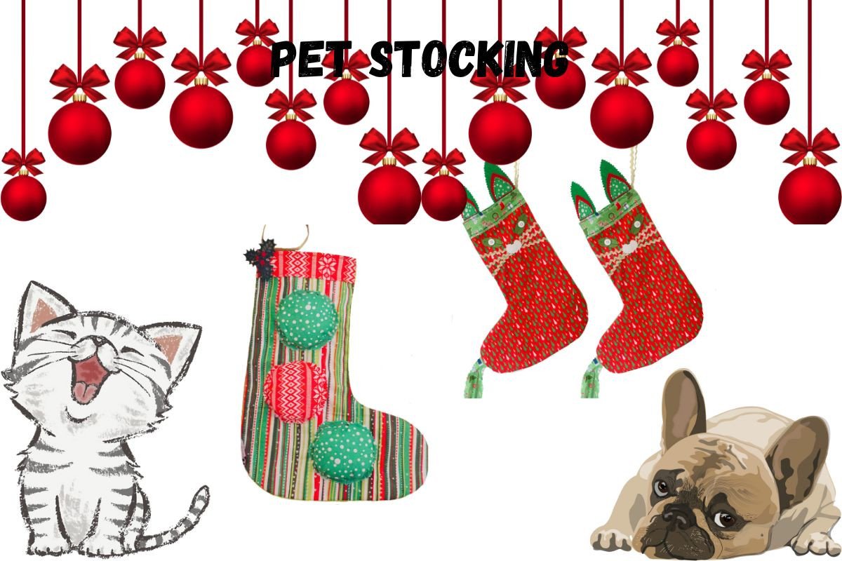 Make Your Own Pet Stockings, Set of 2
