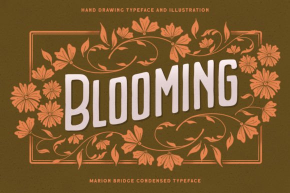 Marion Bridge Font PNG with transparent background - Preview 1