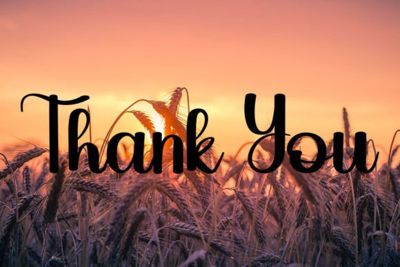 Quinoa Font PNG with transparent background - Preview 6