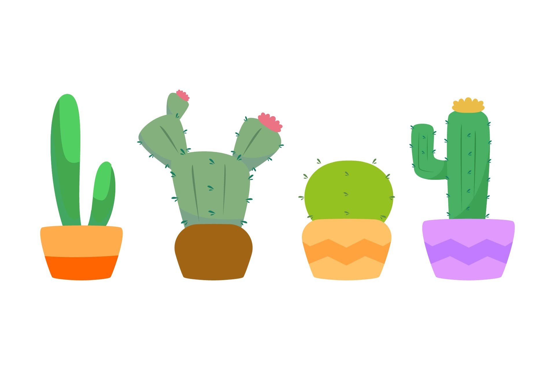 Cactus Graphic Design Vector Graphic by geniusfit  Creative Fabrica