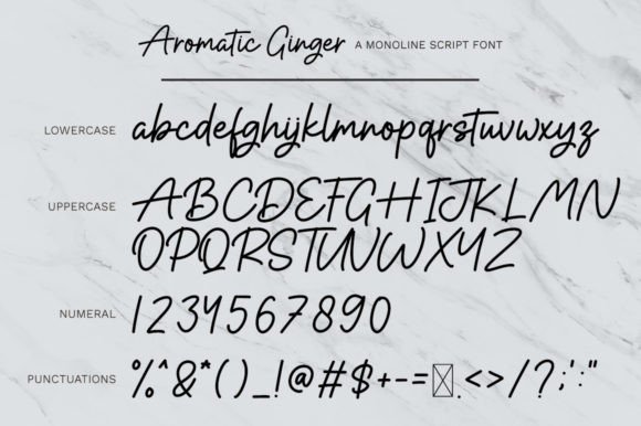 Aromatic Ginger Font - Preview 6