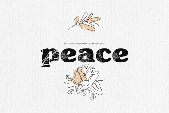Aster Font - Preview 4