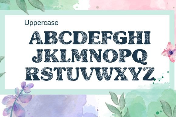 Aster Font - Preview 6