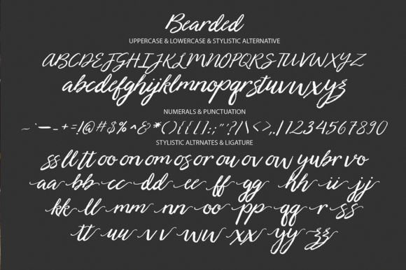 Bearded Font - Preview 6