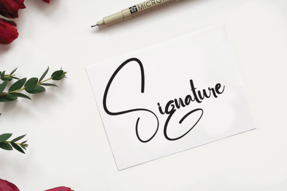 Biography Font - Preview 1