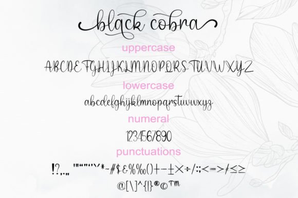 Black Cobra Font - Preview 5