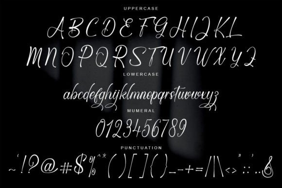 Callisty Font - Preview 4